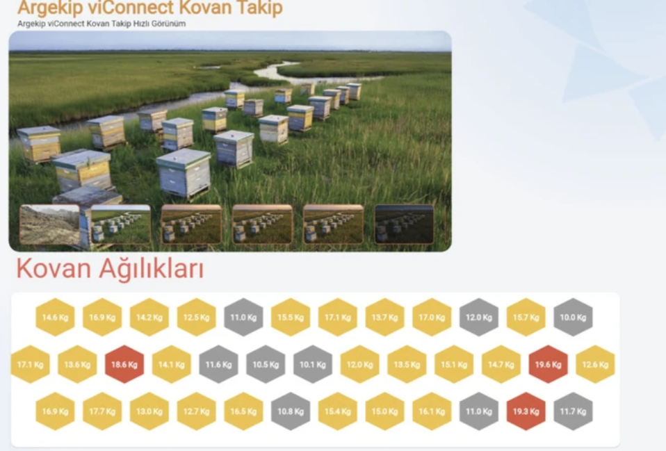 Argekip Arı Kovan Takip Sistemi Full Set | 0–200 kg Tartı | Sıcaklık Nem | Ses Dinleme | Uzaktan İzleme - Gorsel 3
