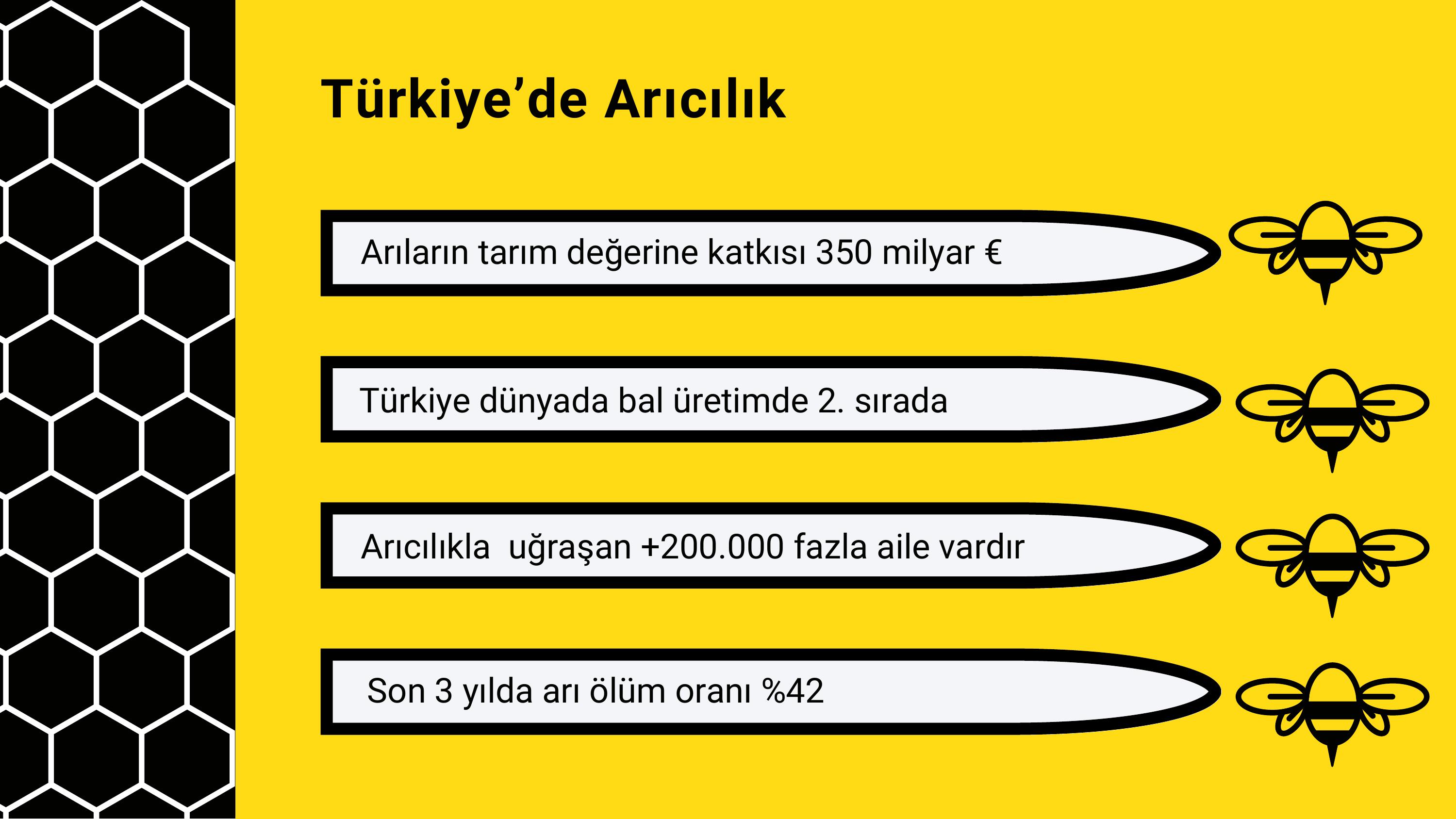 5. sayfa