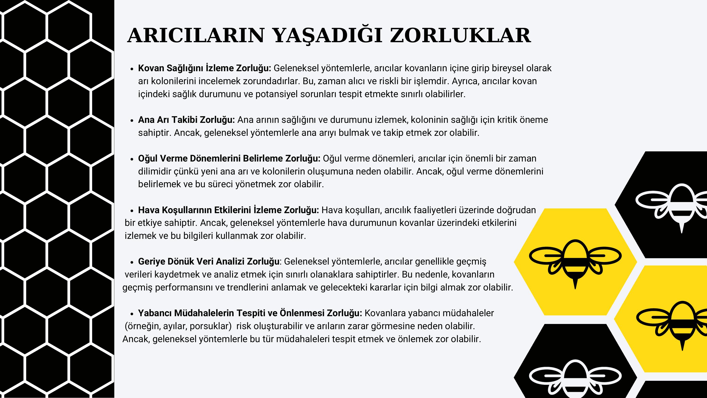 6. sayfa