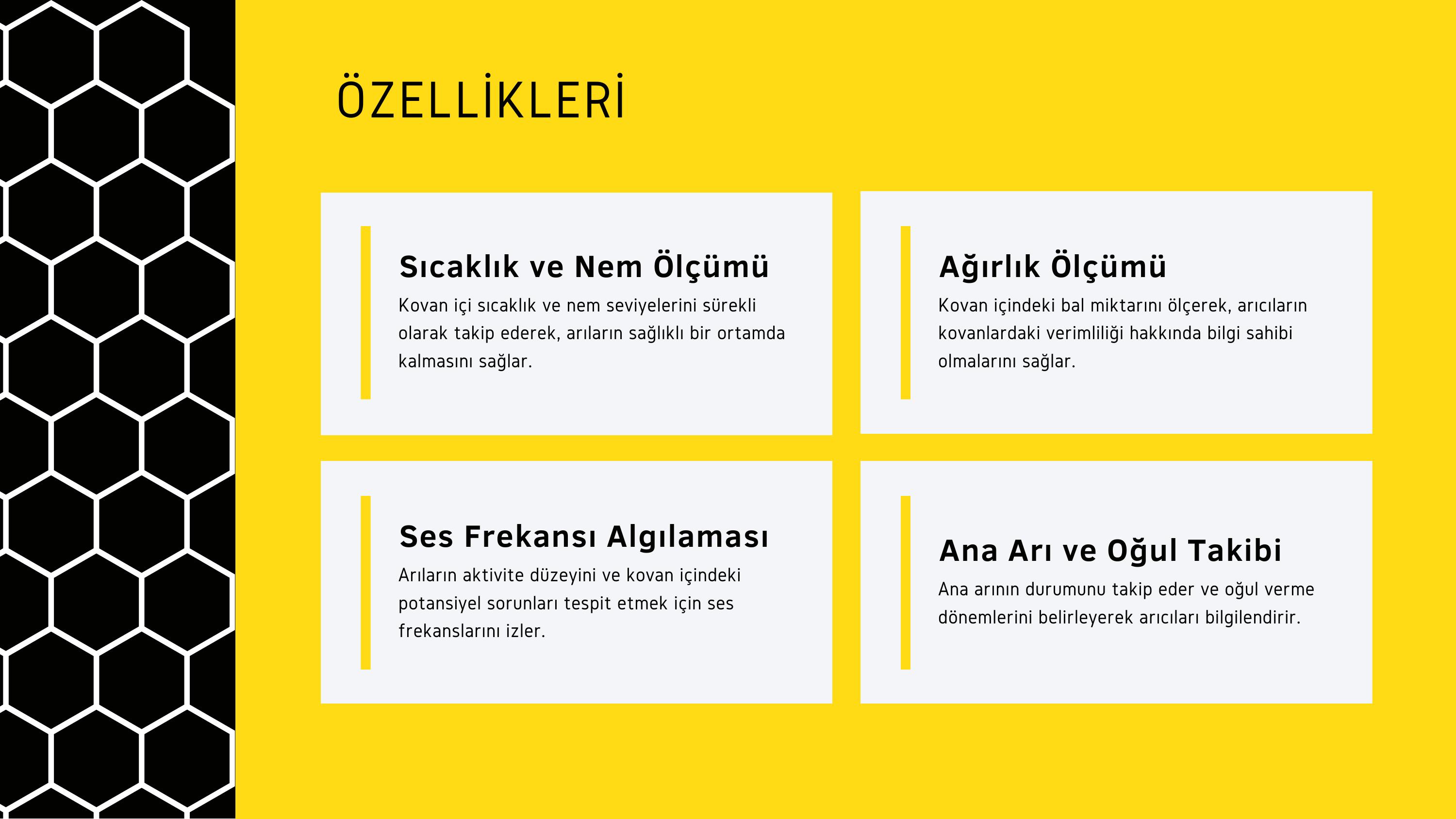8. sayfa