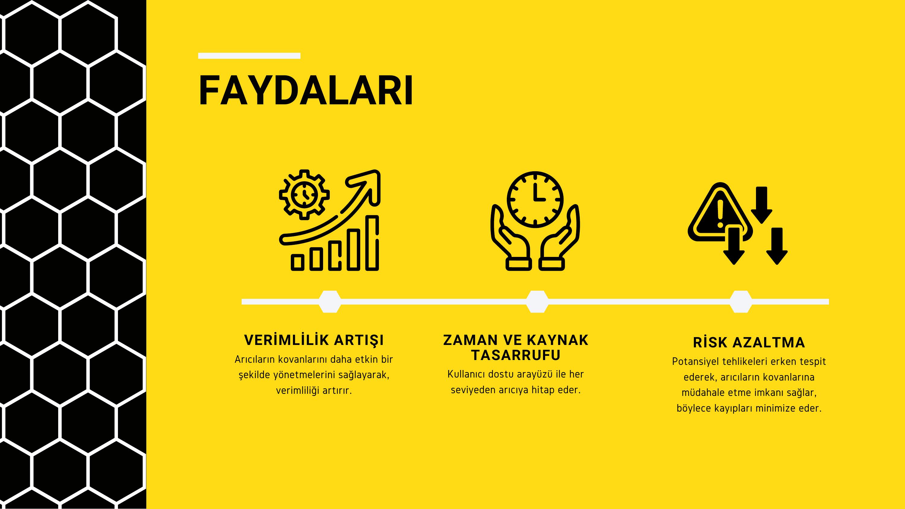 10. sayfa