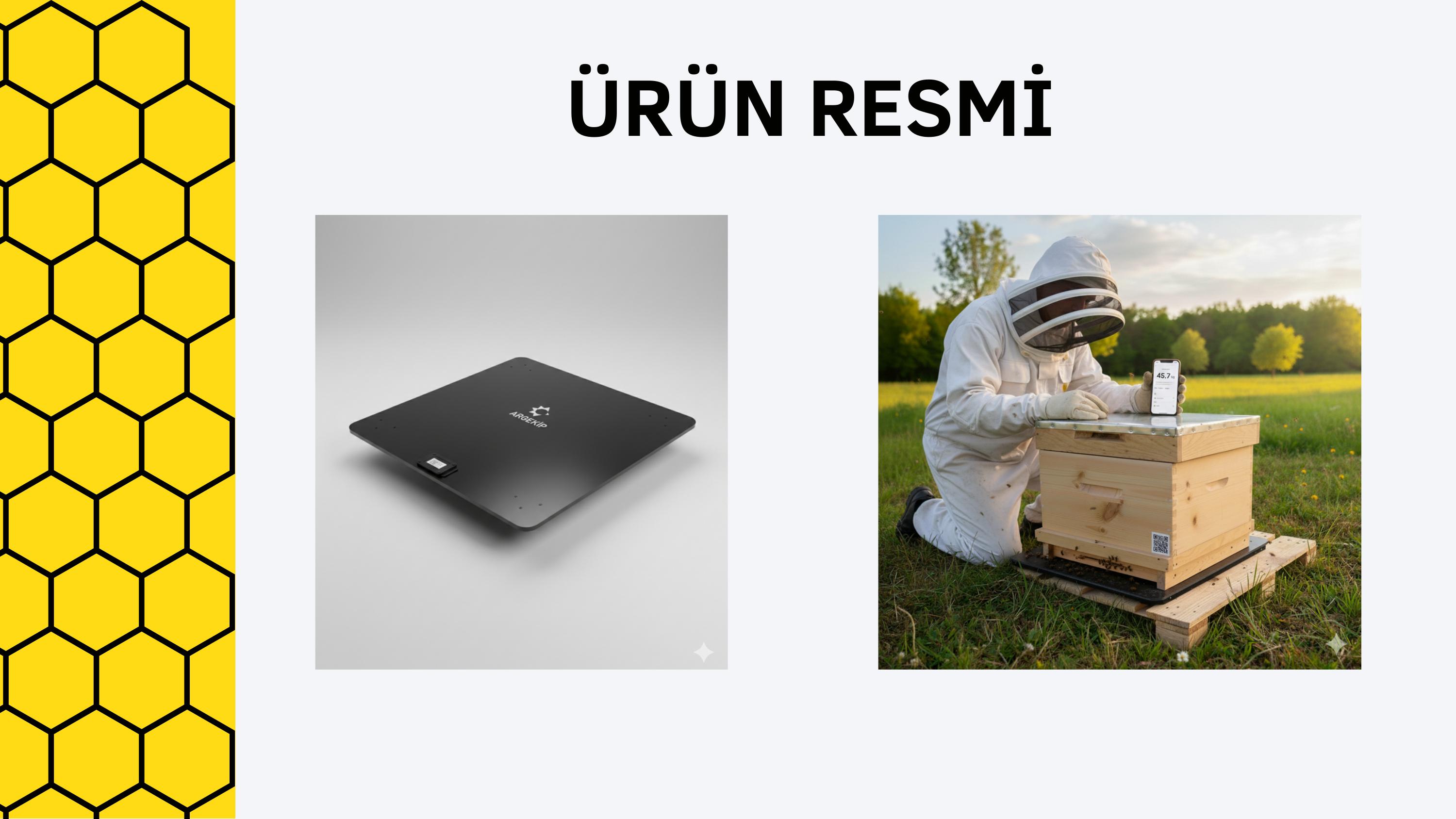 13. sayfa