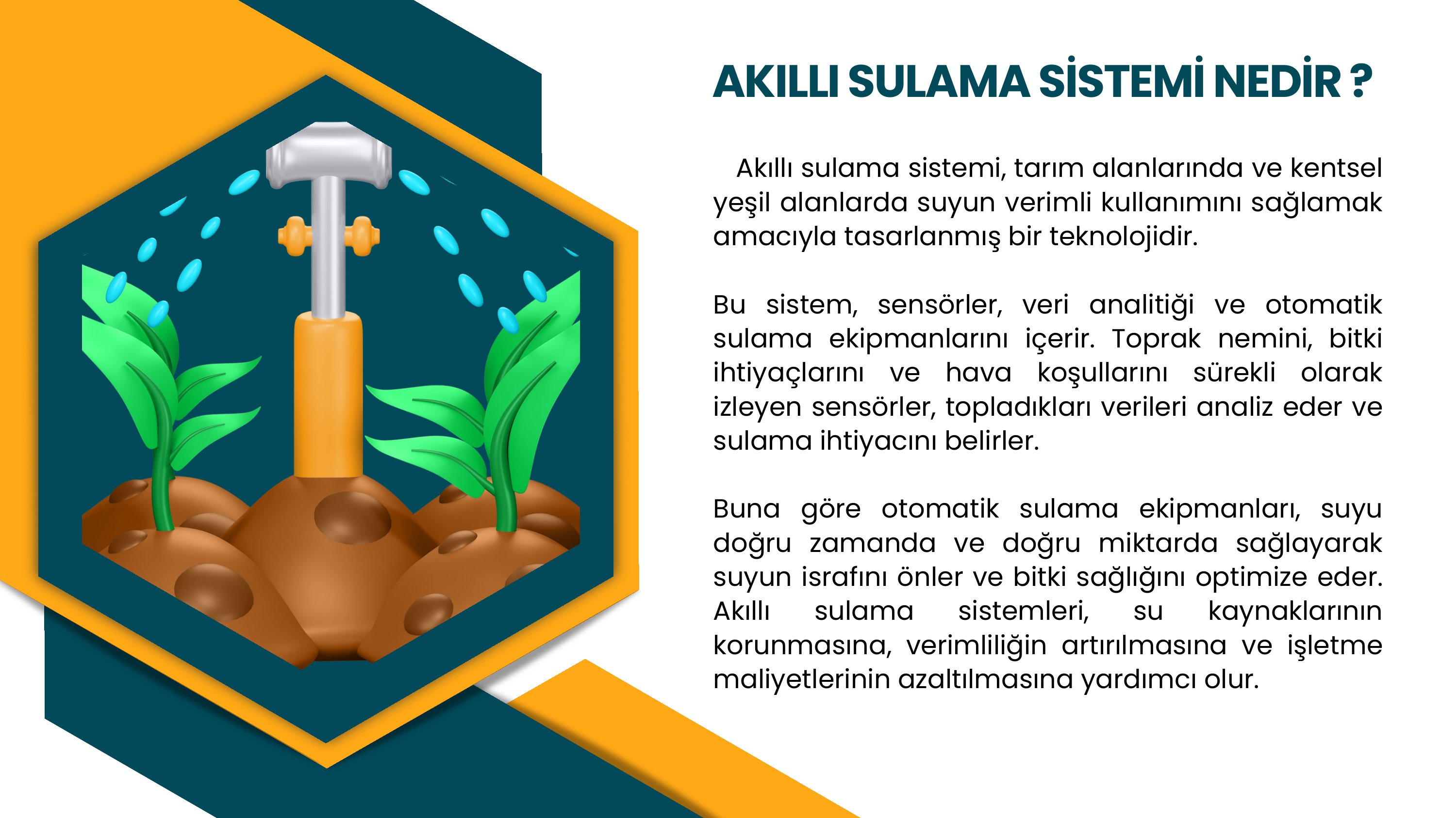 2. sayfa