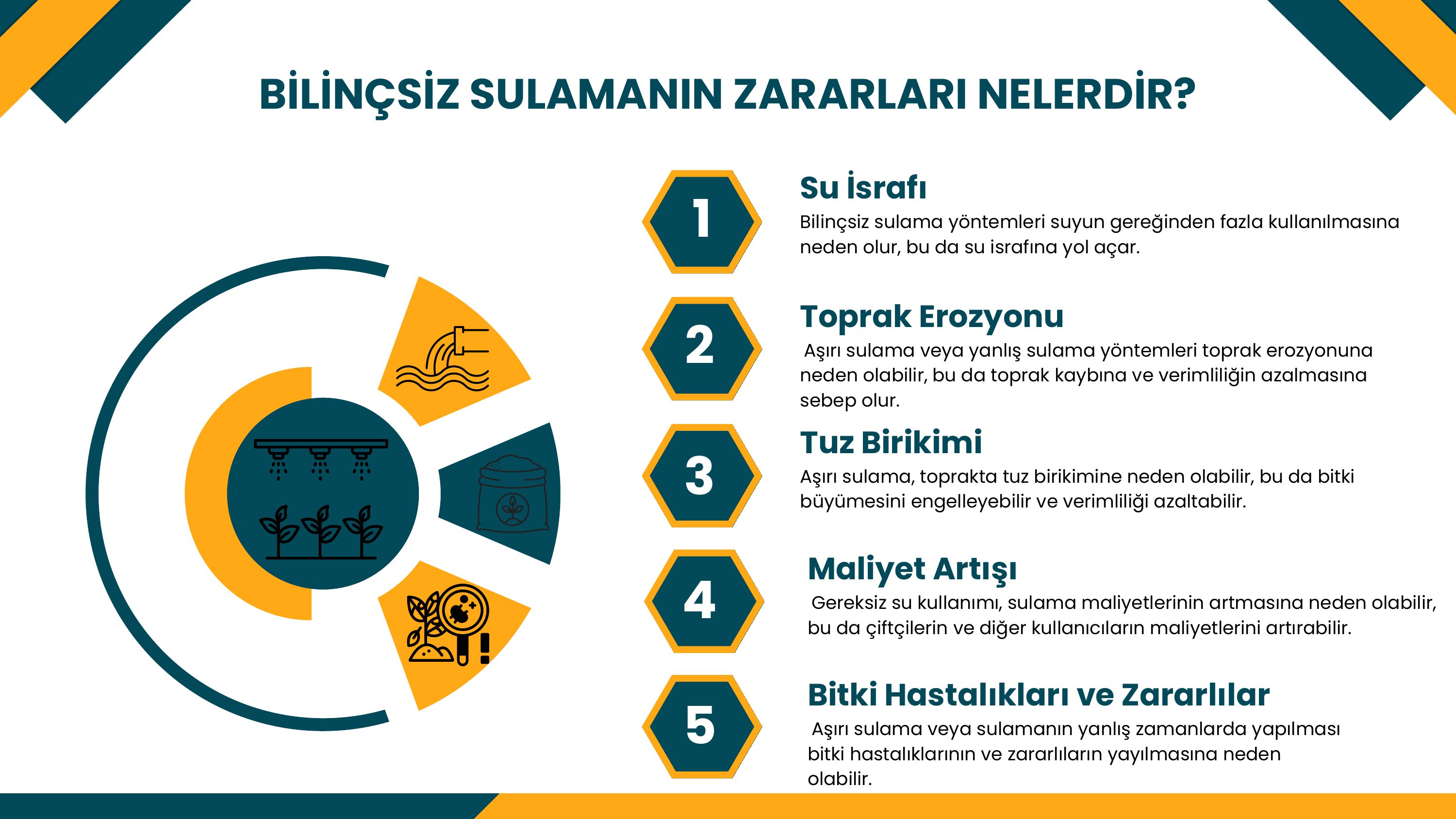 3. sayfa